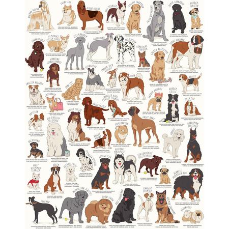 Dog Lover’s Puzzle