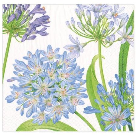 Paper Beverage Napkins Agapanthus Garden