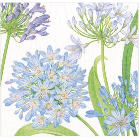 Paper Lunch Napkins Agapanthus Garden