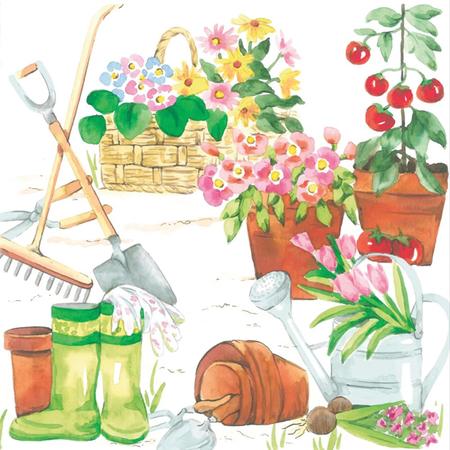 BEV NAPK HAPPY GARDEN