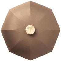 Finex Cast-Iron Lid 12