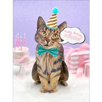 Pop-Up Pet Greeting Card Brown Tabby