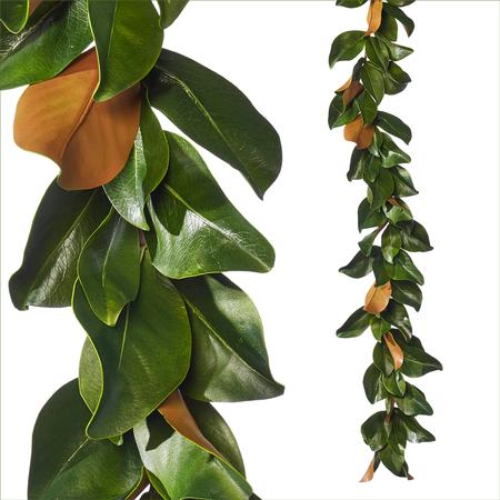 Magnolia Leaf Garland 53”
