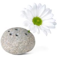 Stone Frog For Flowers