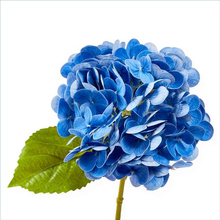 Faux Hydrangea Stem Blue