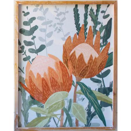 Framed Protea Print