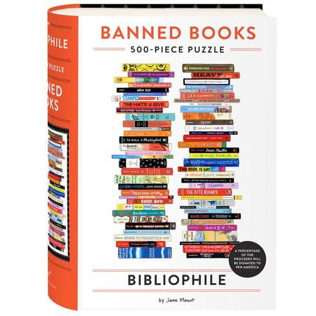 Banned Books Puzzle