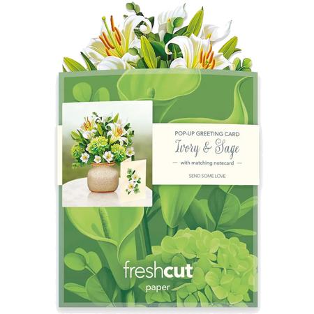 Mini Pop-Up Greeting Card Ivory & Sage