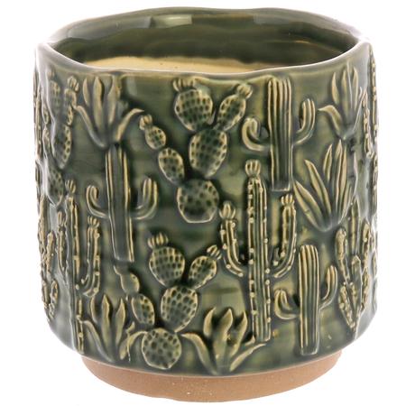 Cactus Pot