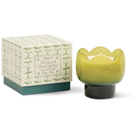Paddywax Glass Tulip Candle Verbena & Eucalyptus