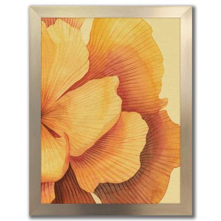 Sunset Petals II Print