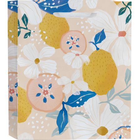 Paper Gift Bag 5” x 7”