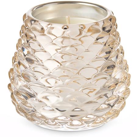 Illume Winter White Pinecone Glass Candle