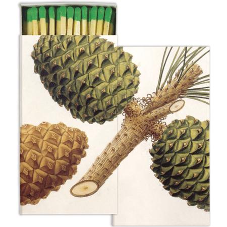 Pinecones Matches