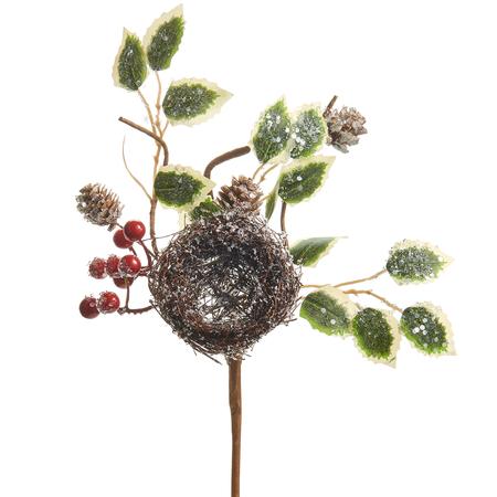 Iced Nest With Holly 12”