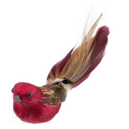 Clip-On Bird Ornament
