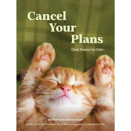 Cancel Your Plans: Cozy Poems By Cats