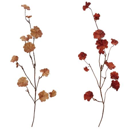 Autumn Leaf Branch