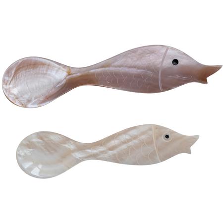Natural Shell Spoon