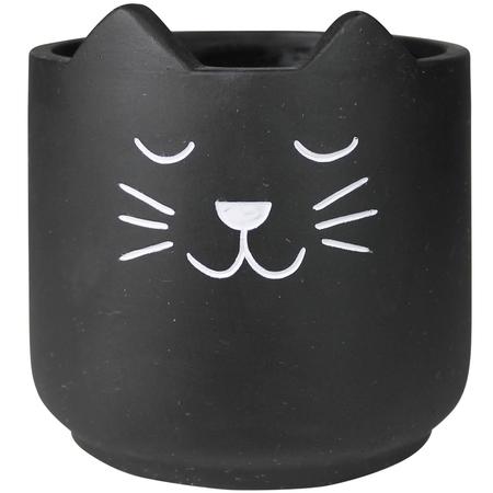 Cat Cachepot