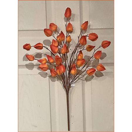 Lantern Spray 20