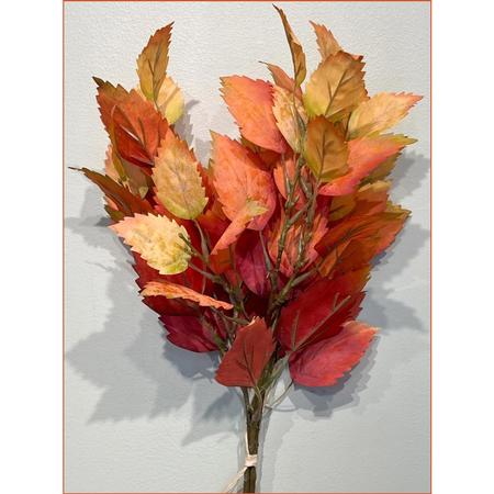 Eucalyptus Bundle 20
