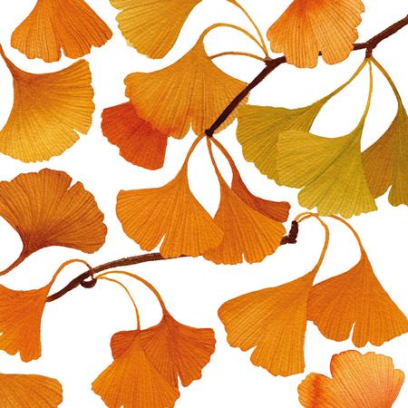 Paper Lunch Napkins Gingko