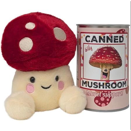 Canned Mushroom