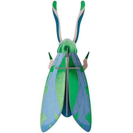 Wall Art Kit Jade Grasshopper