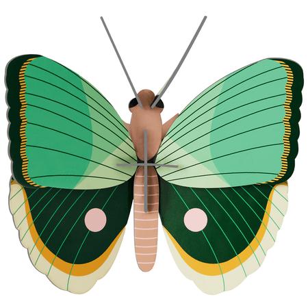 Wall Art Kit Fern Striped Butterfly