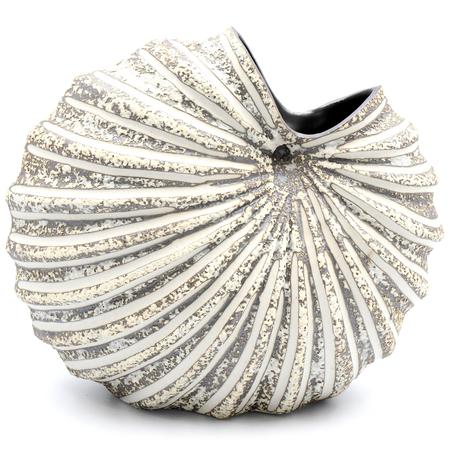Palm Shell Vase